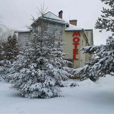 Karpaty Viking Motel Nizhneye Sinevidnoye Buitenkant foto