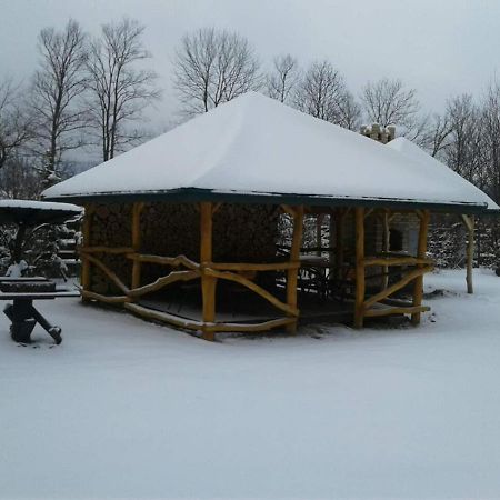 Karpaty Viking Motel Nizhneye Sinevidnoye Buitenkant foto