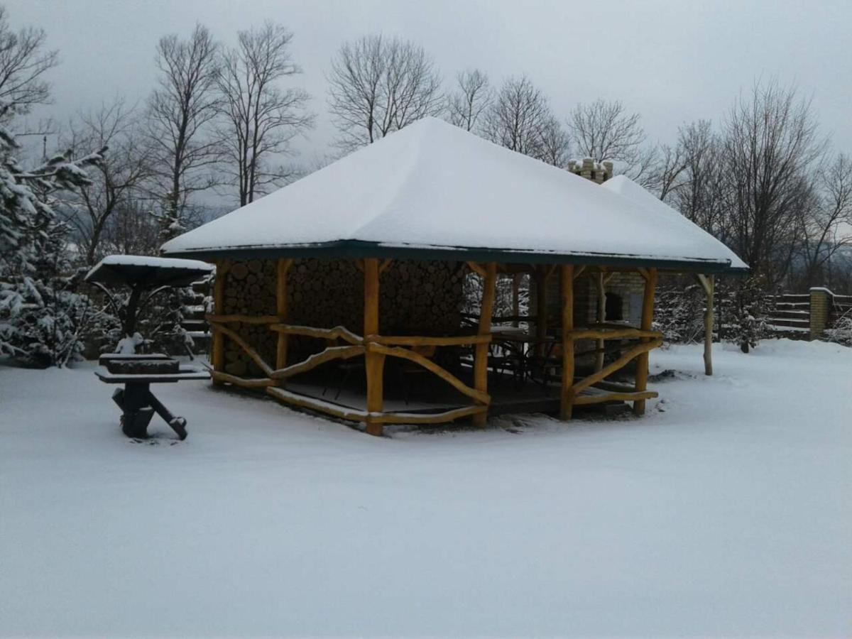 Karpaty Viking Motel Nizhneye Sinevidnoye Buitenkant foto