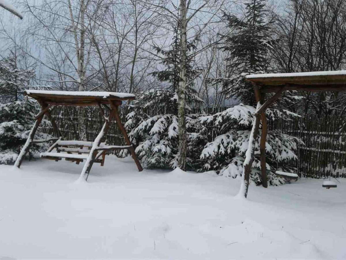 Karpaty Viking Motel Nizhneye Sinevidnoye Buitenkant foto