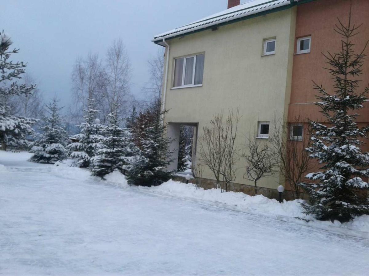 Karpaty Viking Motel Nizhneye Sinevidnoye Buitenkant foto